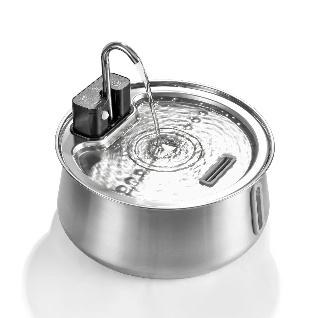 WhiskerWell™ Stainless Steel Pet Fountain