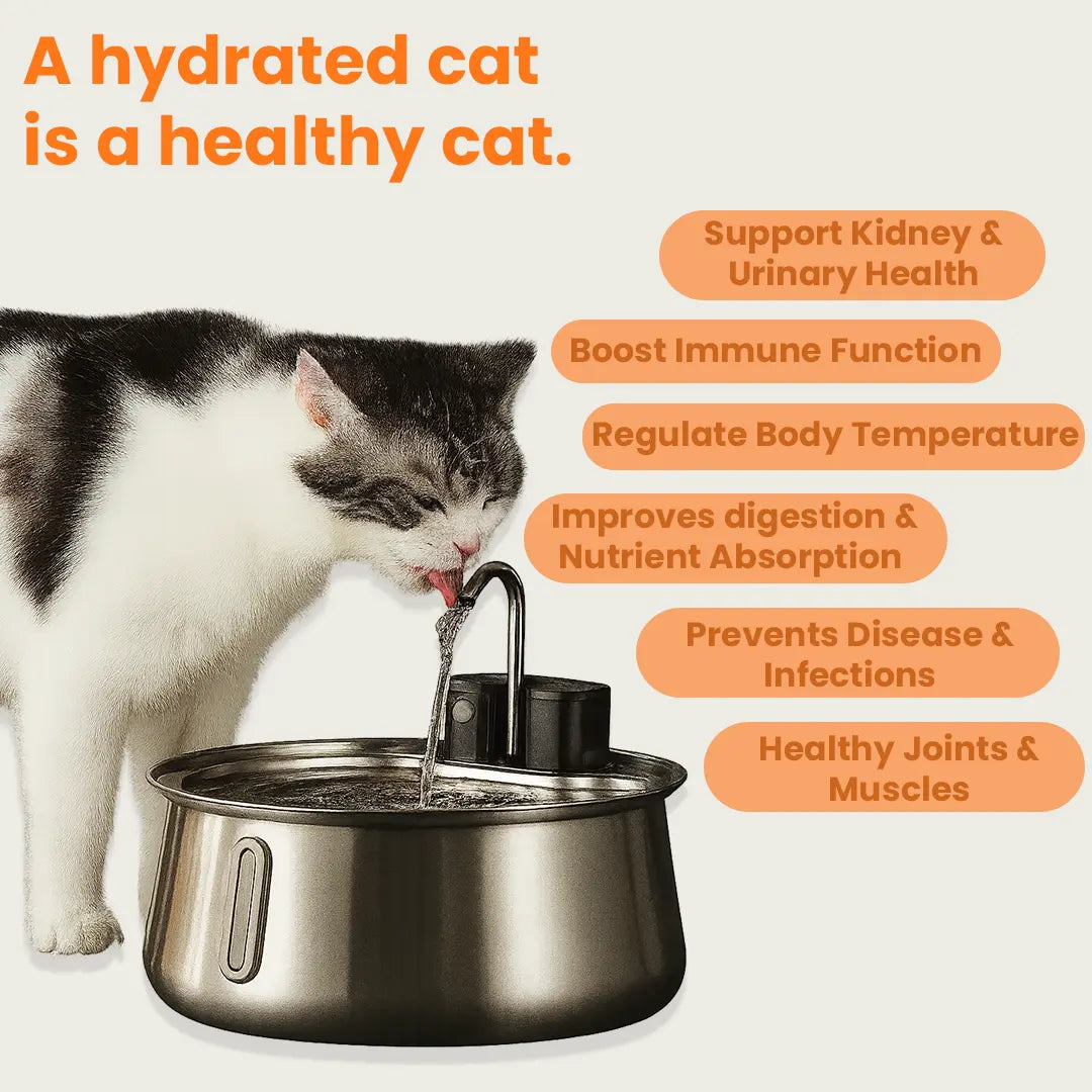 WhiskerWell™ Stainless Steel Pet Fountain