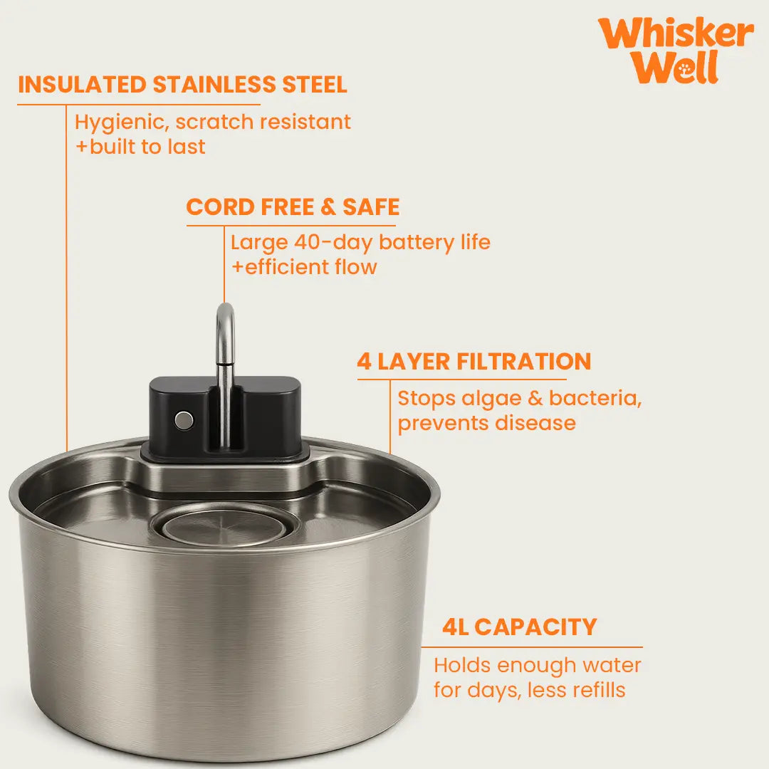 WhiskerWell™ Stainless Steel Pet Fountain