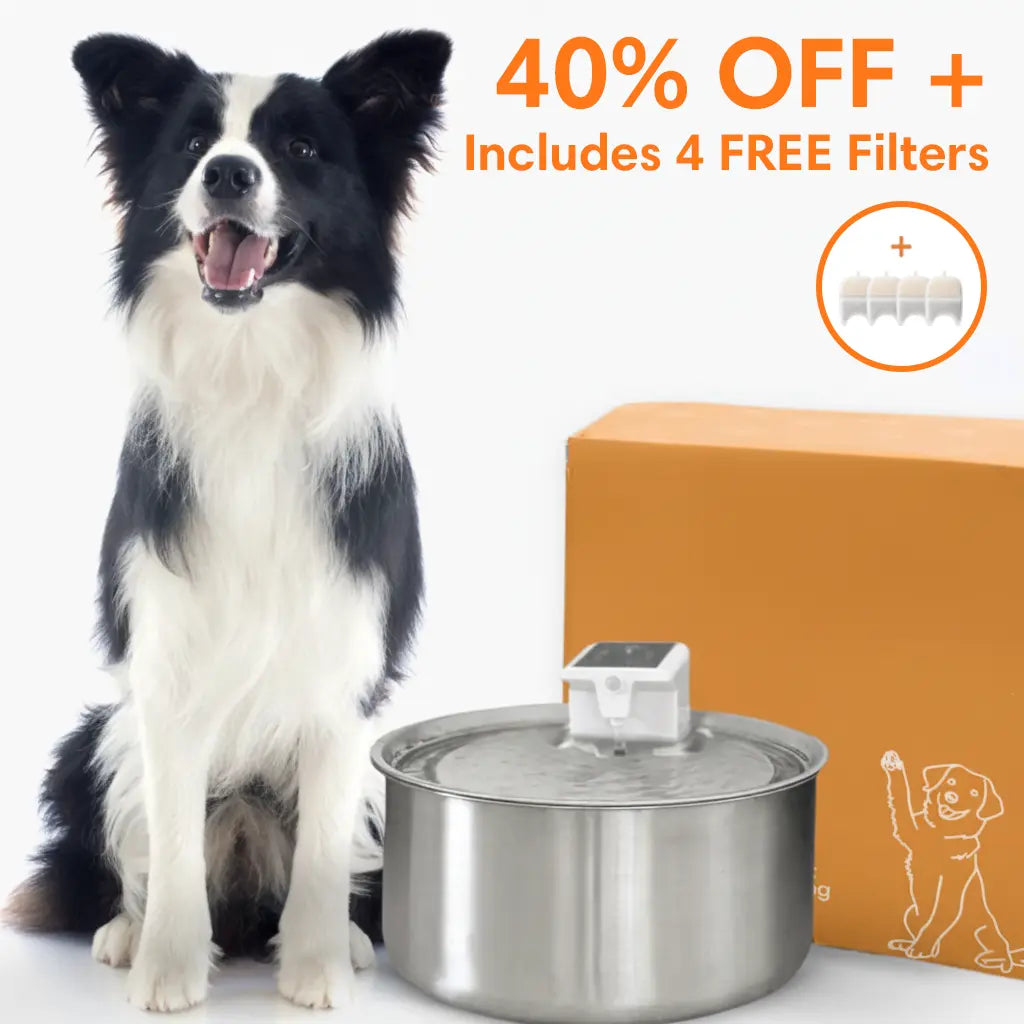 WhiskerWell™ Doggy Water Fountain