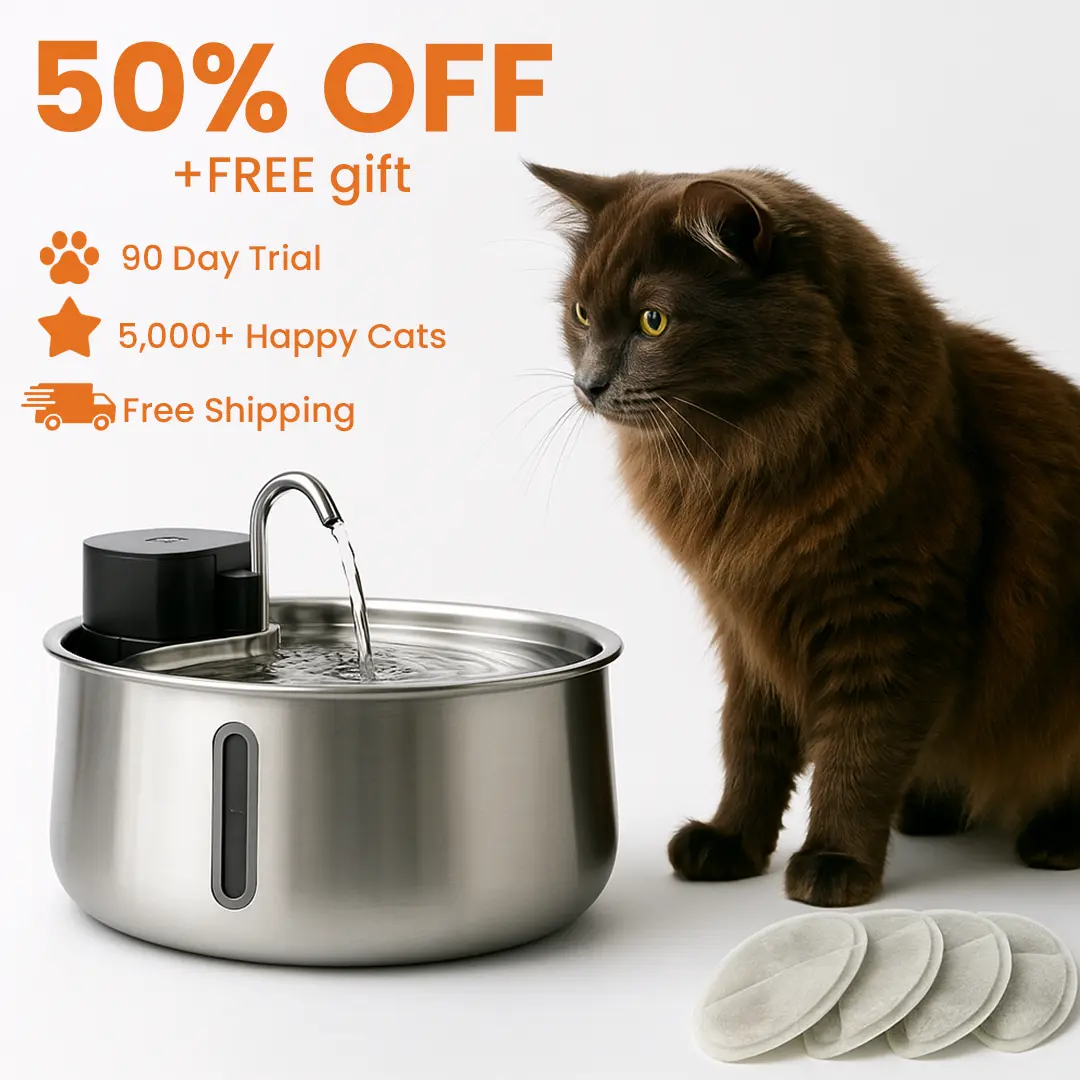 WhiskerWell™ Stainless Steel Pet Fountain