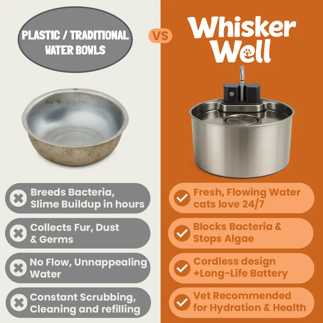 WhiskerWell™ Stainless Steel Pet Fountain