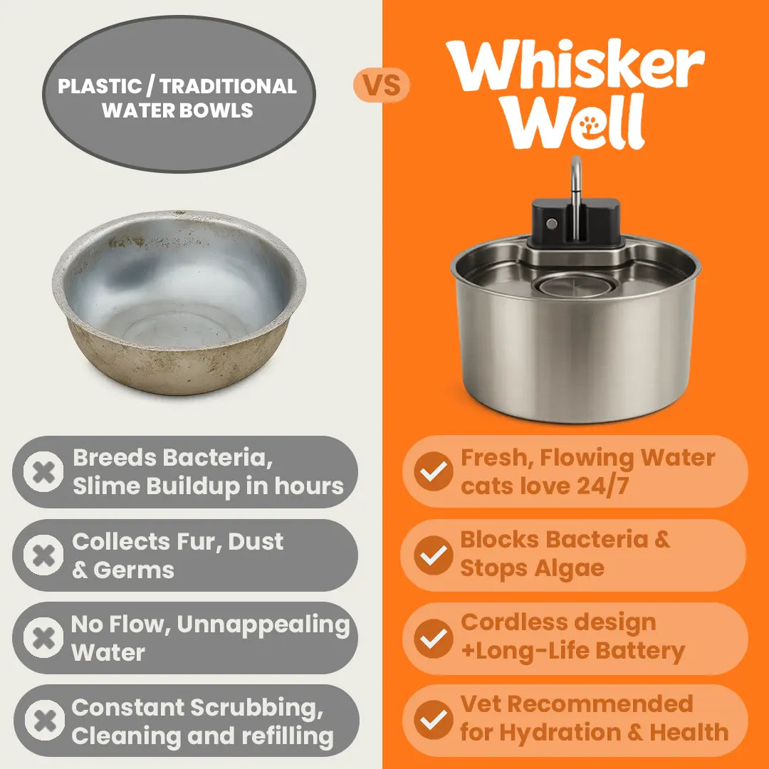 WhiskerWell™ Stainless Steel Pet Fountain