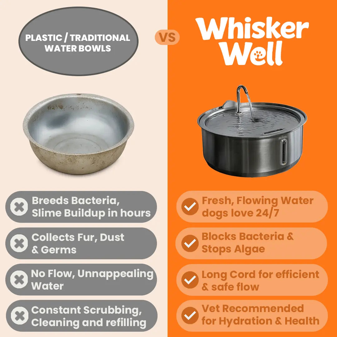 WhiskerWell™ Doggy Water Fountain