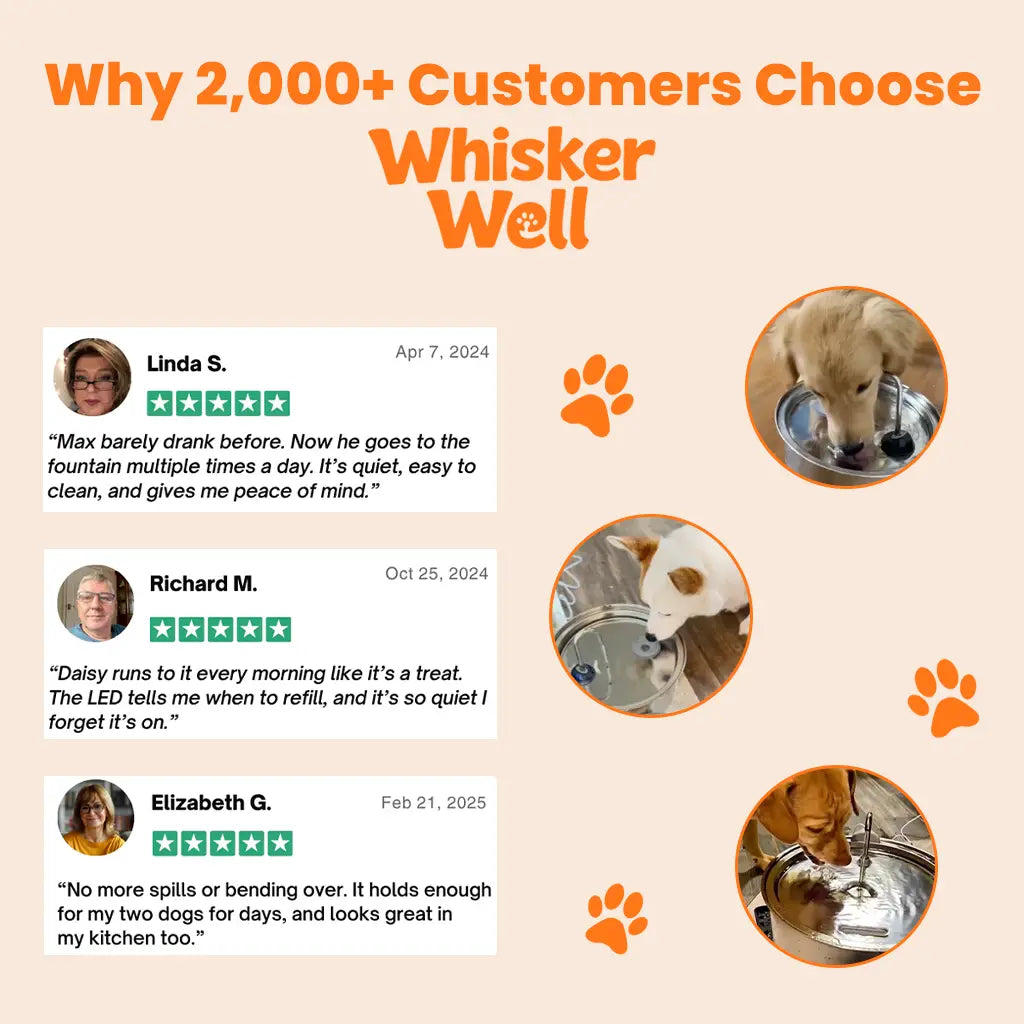 WhiskerWell™ Doggy Water Fountain