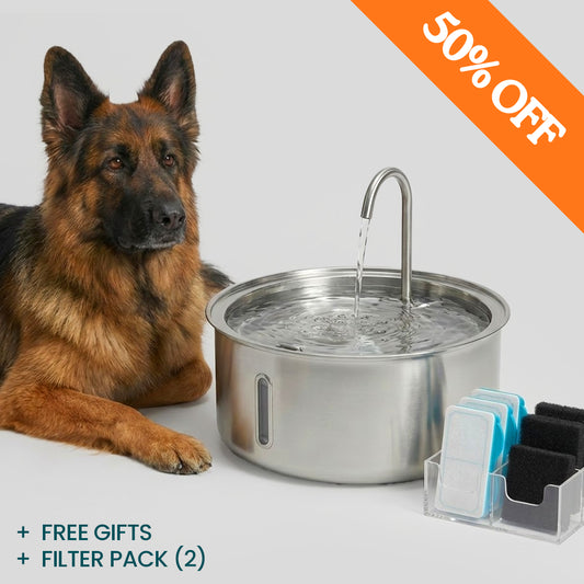 WhiskerWell™ Doggy Water Fountain