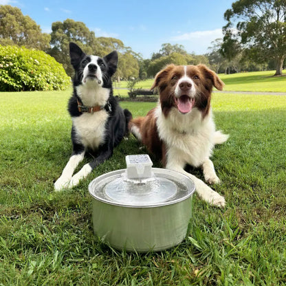 WhiskerWell™ Doggy Water Fountain