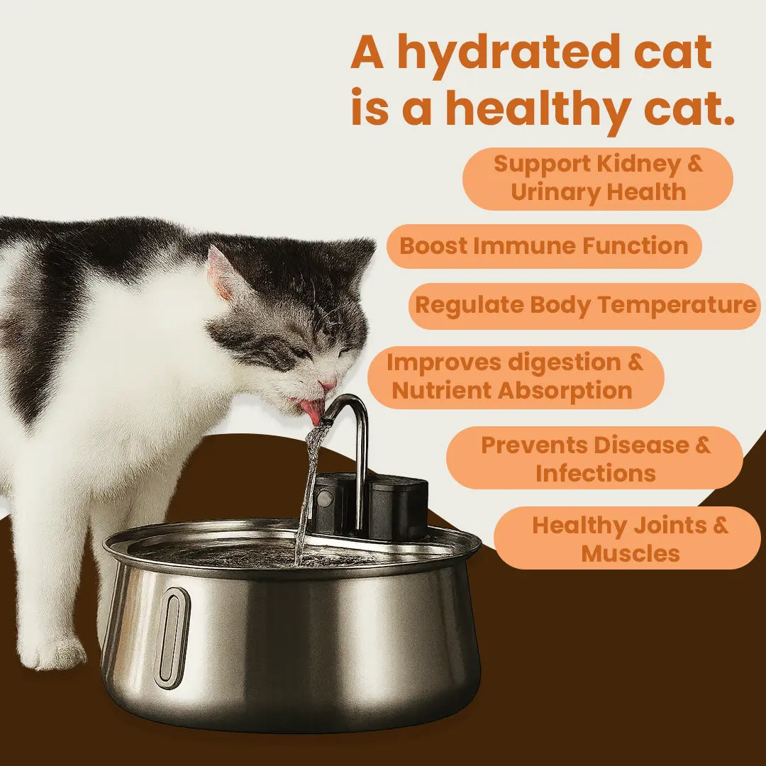 WhiskerWell™ Stainless Steel Pet Fountain