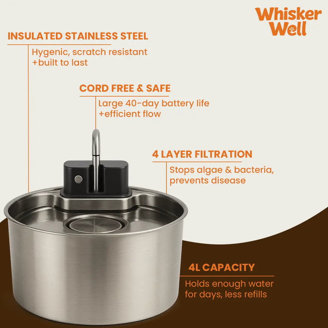 WhiskerWell™ Stainless Steel Pet Fountain