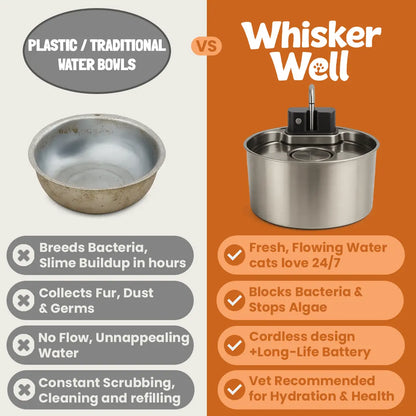 WhiskerWell™ Stainless Steel Pet Fountain