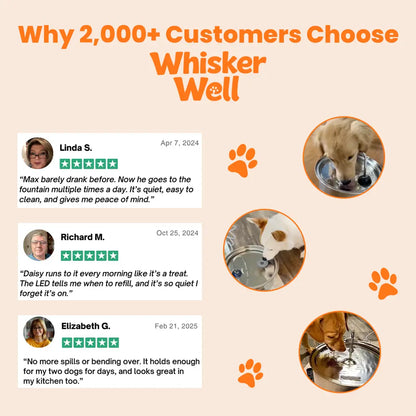 WhiskerWell™ Doggy Water Fountain